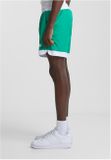 Starter Retro Shorts c.green