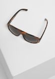 Urban Classics 101 Sunglasses UC brown leo/black