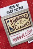 Mitchell &amp; Ness Seattle Supersonics #20 Gary Payton Swingman Jersey red
