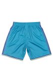 Mitchell &amp; Ness shorts Charlotte Hornets Swingman Shorts teal