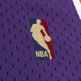 Mitchell &amp; Ness Phoenix Suns #13 Steve Nash HWC Jersey purple