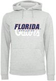 Mr. Tee Florida Gators Logo Hoodie heather grey